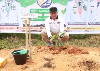 Wabup Katamso Pimpin Aksi Tanam, Wujudkan Kabupaten Lestari dan Ramah Lingkungan