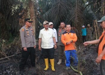 Bupati Anwar Sadat Gerak Cepat Tinjau Karhutla di Bram Itam