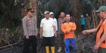 Bupati Anwar Sadat Gerak Cepat Tinjau Karhutla di Bram Itam