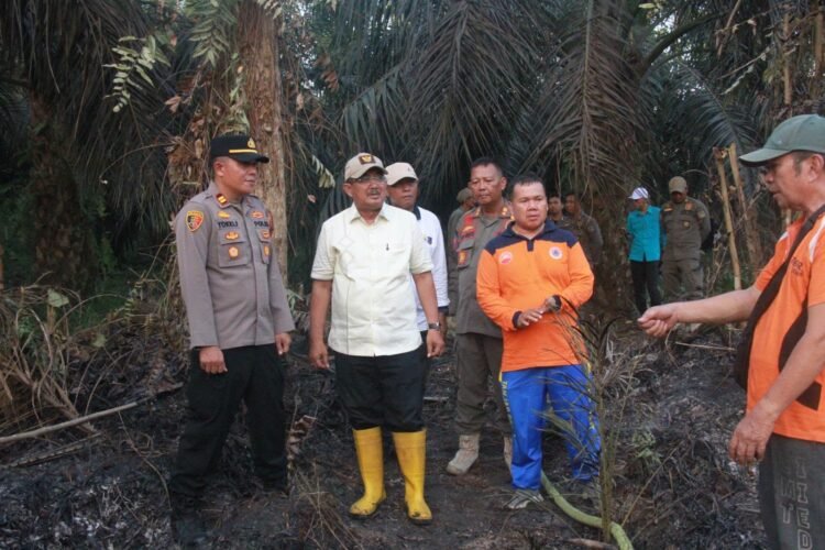 Bupati Anwar Sadat Gerak Cepat Tinjau Karhutla di Bram Itam